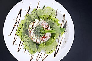 Gourmet fusion seafood and apple celery salad with wasabi mayo