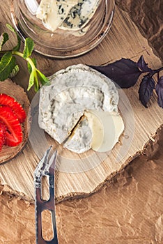 gourmet goat cheese with mold and soft liquid core