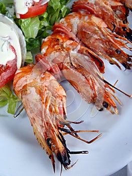 Gourmet Greek food, shrimp kebab