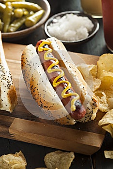 Gourmet Grilled All Beef Hots Dogs photo
