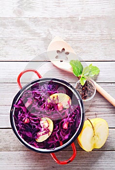 Gourmet Healthy Red Cabbage and Apple Salad