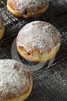 Gourmet Homemade Polish Paczki Donuts