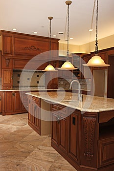 Gourmet kitchen in luxururious New construction ho