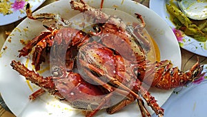 Gourmet lobster dinner on the plate.