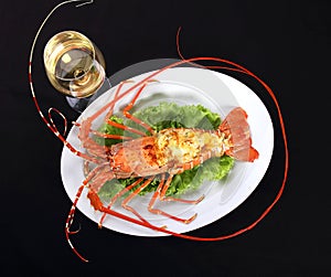 Gourmet lobster dinner with white wine