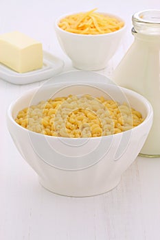 Gourmet macaroni and cheese ingredients.