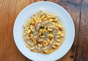 Gourmet macaroni and cheese made with cavatappi pasta