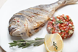 Gourmet Mediterranean seafood dish. Grilled fish gilthead with v photo