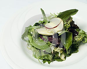 Gourmet Mesclun Salad