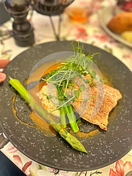 gourmet plate, baked salmon, sugar snap pea sprouts, green asparagus, yellow sea buckthorn sauce