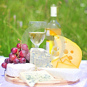 Gourmet plate (cheese and wine)