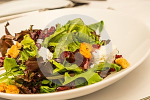 Gourmet Salad with Goat Cheese and Croutons