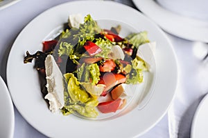 Gourmet salad in a white plate..Slices of cheese, tomato, lettuce..White plate on white table. Food. Holiday. Food