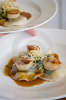 Gourmet scallops and ravioli with sauce on a white