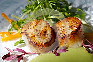 Gourmet seared scallops with garnishes photo