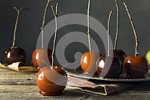 Gourmet Sweet Fancy Candy Apples