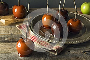 Gourmet Sweet Fancy Candy Apples