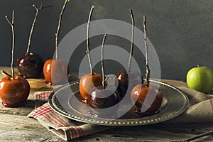 Gourmet Sweet Fancy Candy Apples