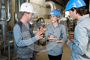 govern engineer conducting safety routines on factory