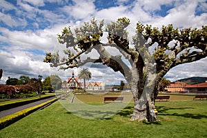 Government Gardens, Rotorua