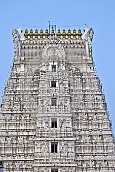Govindaraj Swami temple
