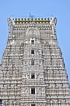 Govindaraj Swami temple photo