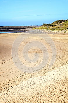 Gower Peninsula At The Loughor Estuary, Burry Port