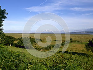 Gower salt marsh