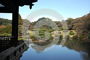 Goyen national gardens, Shinjuku, Tokyo, Japan