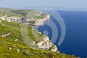 Gozo coastline