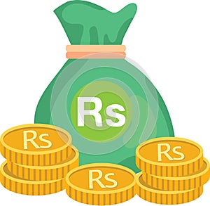 Pakistan Gold Coins with Green Coin Bag Sign icon Vector for mobile apps and Websites