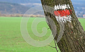 GR footpath marking on tree photo