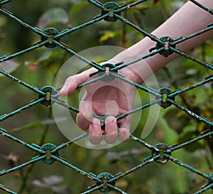 He grabbed the fence with his hand.