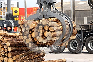 Grabber crane with timber