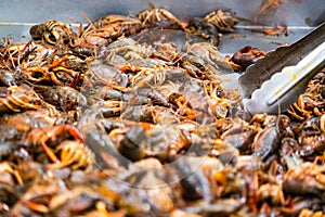 grabbing Cajun Crawfish Boil ready to eat some southern Crawdads