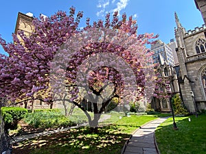 Grace Church - New York City