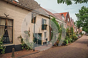 Graceful alleyway with brick houses, shrubs and flowered pots on a cloudy day at Gouda.