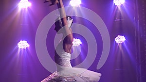 Graceful ballerina in a chic image of a white swan. Young beautiful girl in a white tutu with sequins and a crown