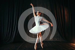 Graceful ballerina dancing in ballet class