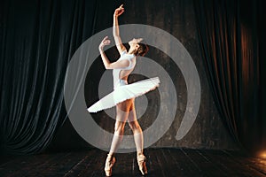Graceful ballerina dancing in ballet class