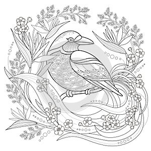 Graceful bird coloring page