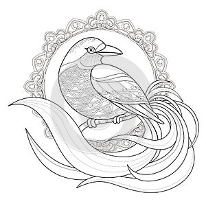 Graceful bird coloring page