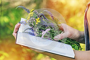 Graceful female hands hold a book and a bouquet of forest flowers. Side view