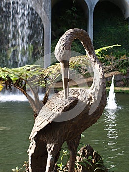 Graceful heron in the exotic garden of Funchal