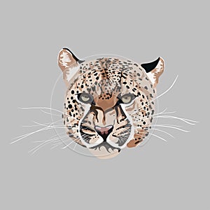 Graceful leopard Savana cat. Elegant poster, t-shirt composition element.