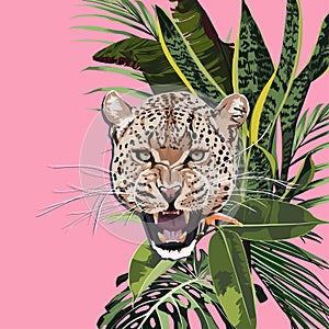 Graceful leopard and tropical leaves. Savana cat.