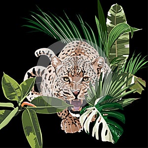 Graceful leopard and tropical leaves. Savana cat. Elegant poster, t-shirt composition.