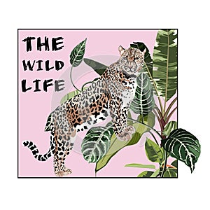 Graceful leopard and tropical leaves. Savana cat. Elegant poster, t-shirt composition, hand drawn style print.