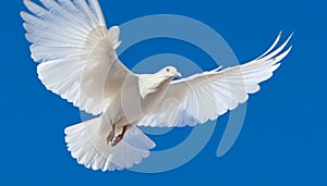 Graceful seagull gliding in clear blue sky, symbol of peace generated by AI