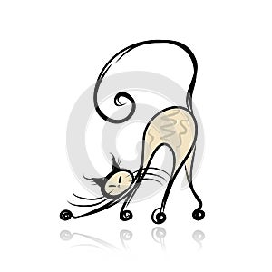 Graceful siamese cat for your design